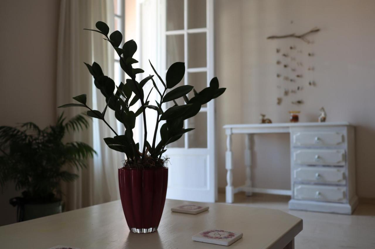 Helena Apartment Argostoli المظهر الخارجي الصورة